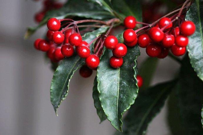 紫金??0.jpg 紫金??0.jpg