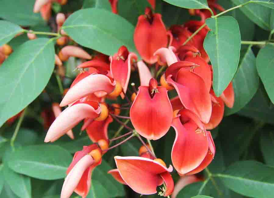 timg (1).jpg timg (1).jpg