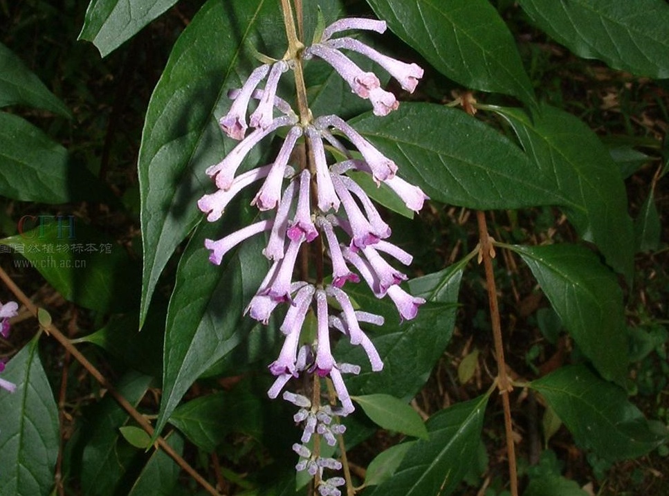 9f510fb30f2442a7199de020d143ad4bd01302a7.jpg 9f510fb30f2442a7199de020d143ad4bd01302a7.jpg