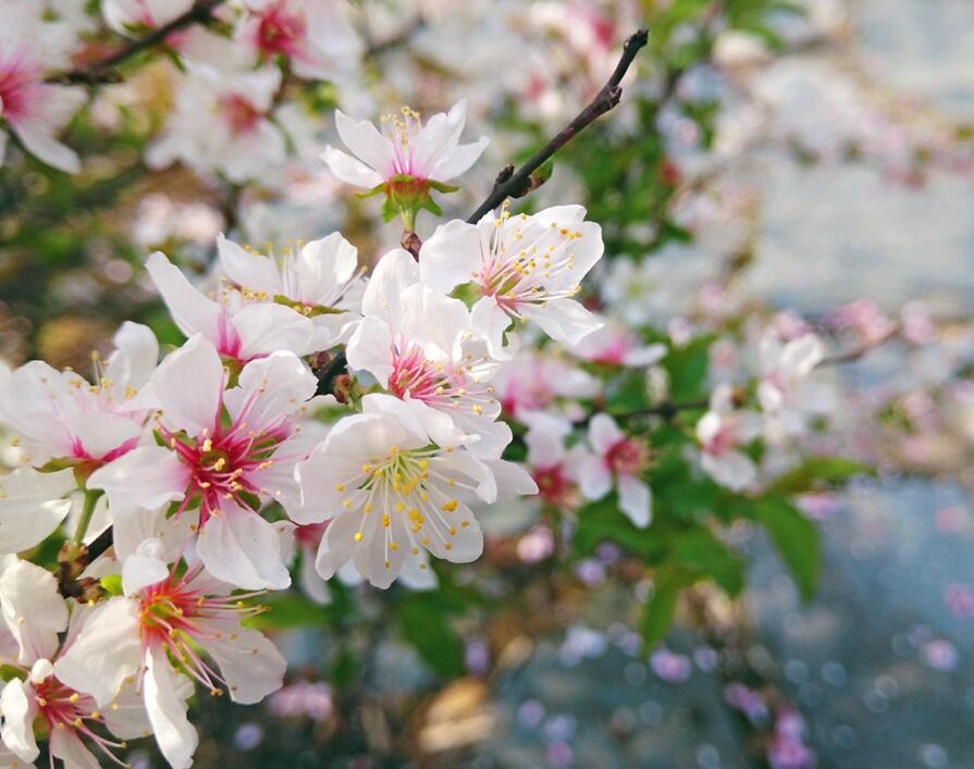 QQ截圖20201216105046.jpg QQ截圖20201216105046.jpg