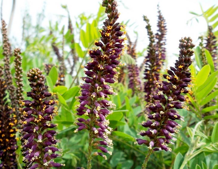 b58f8c5494eef01f3ad7bedde2fe9925bd317de2.jpg b58f8c5494eef01f3ad7bedde2fe9925bd317de2.jpg