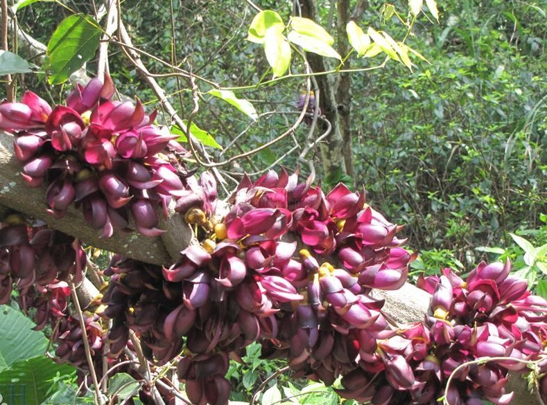 e1fe9925bc315c60bc114d1f8db1cb13485477bd.jpg e1fe9925bc315c60bc114d1f8db1cb13485477bd.jpg