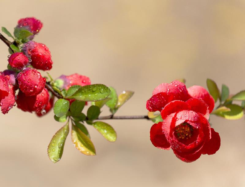 微信圖片_20210105093213.jpg 微信圖片_20210105093213.jpg