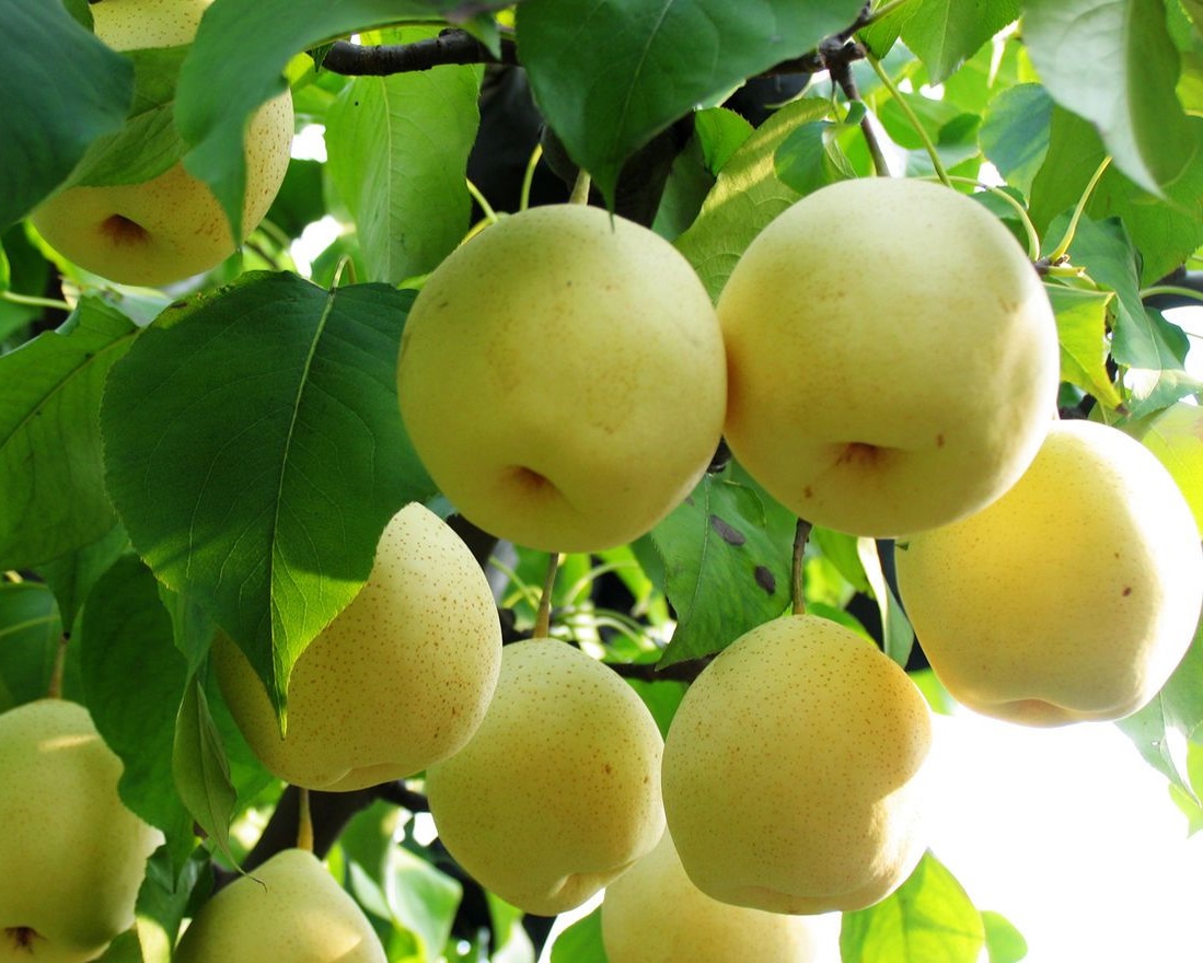 1b4c510fd9f9d72a206a2705d92a2834349bbb9f.jpg 1b4c510fd9f9d72a206a2705d92a2834349bbb9f.jpg