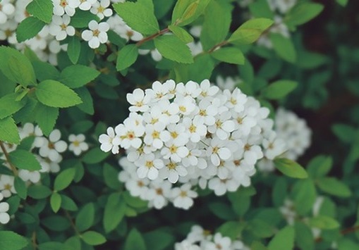 b21c8701a18b87d6c977beb4000828381f30fd60.jpg b21c8701a18b87d6c977beb4000828381f30fd60.jpg