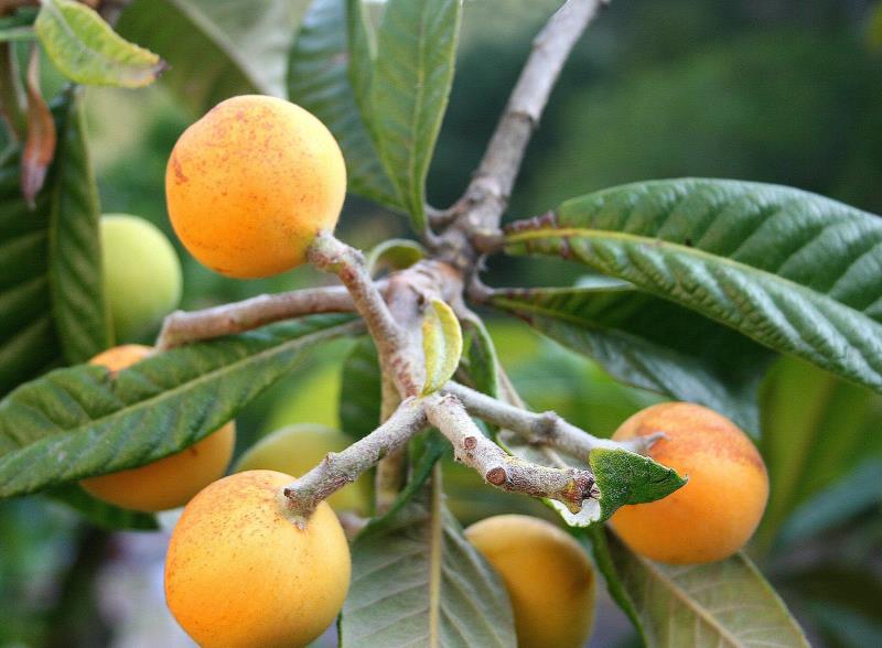 微信圖片_20210105104419.jpg 微信圖片_20210105104419.jpg